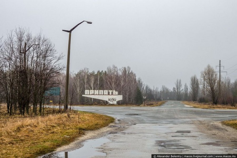 Мёртвый город Припять. Джунгли Чернобыля Мёртвый город Припять. Джунгли Чернобыля