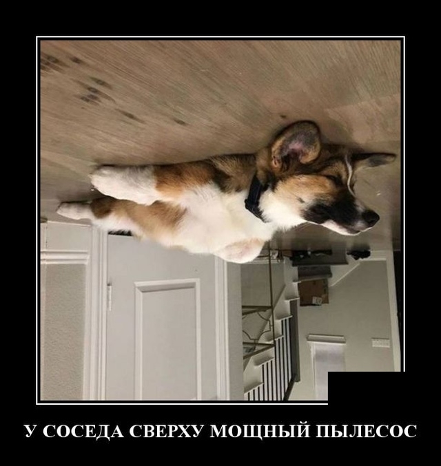 Демотиваторы Демотиваторы