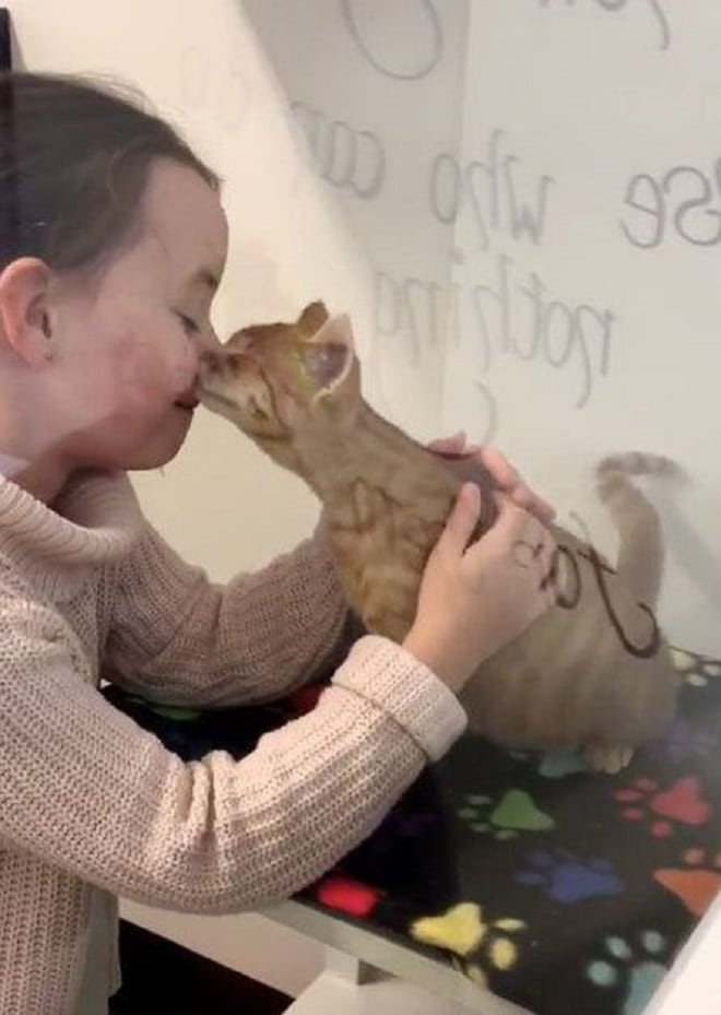 Девочка и котенок Котенок целует девочку