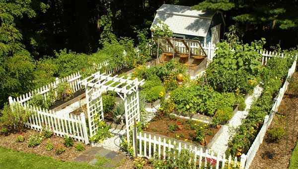 Ландшафтный дизайн огорода и сада на даче: фото и видео идей