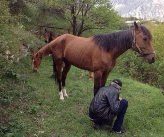 На эти снимки вы точно посмотрите дважды. Точно вам говорю!