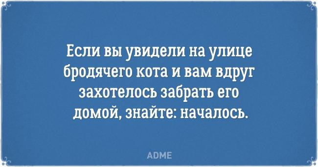 20 открыток о нелегкой жизни котов и их владельцев