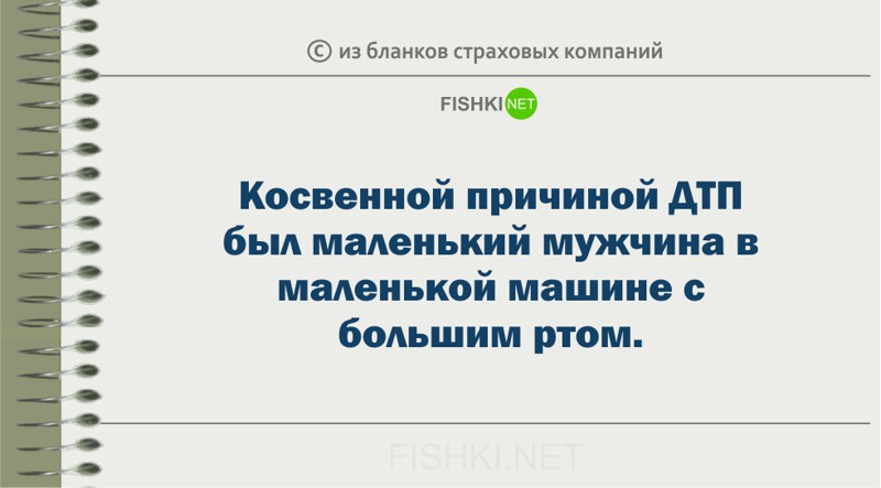 Забавные пояснения из бланков страховых компаний страховка, юмор