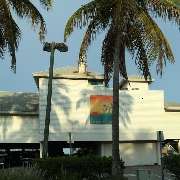 These Shadows From Two Palm Trees And A Lamppost Look Like A Lion