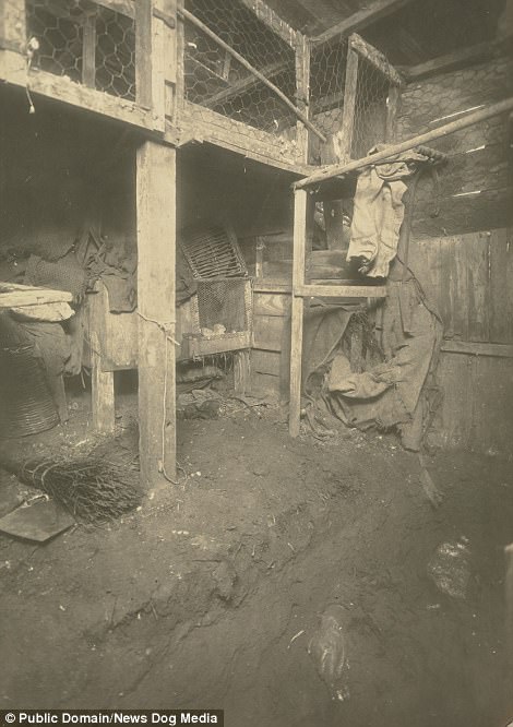 Первые в своем роде фотографии с мест преступлений 1904 года Первые в своем роде фотографии с мест преступлений 1904 года