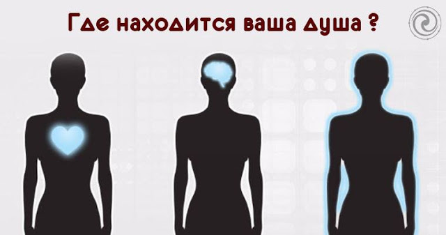 Где находится душа в теле человека Где находится душа в теле человека