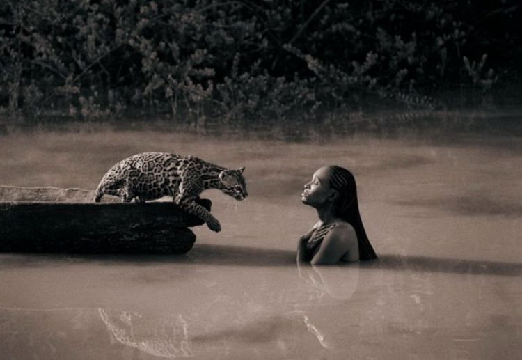 Люди и животные в фотографиях Gregory Colbert