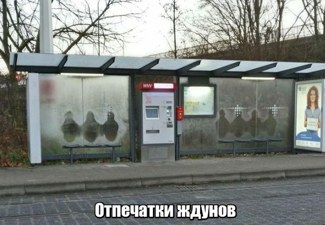 Подборка картинок Подборка картинок