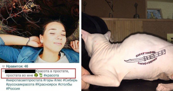 Неопровержимые доказательства того, что земляне деградируют Неопровержимые доказательства того, что земляне деградируют