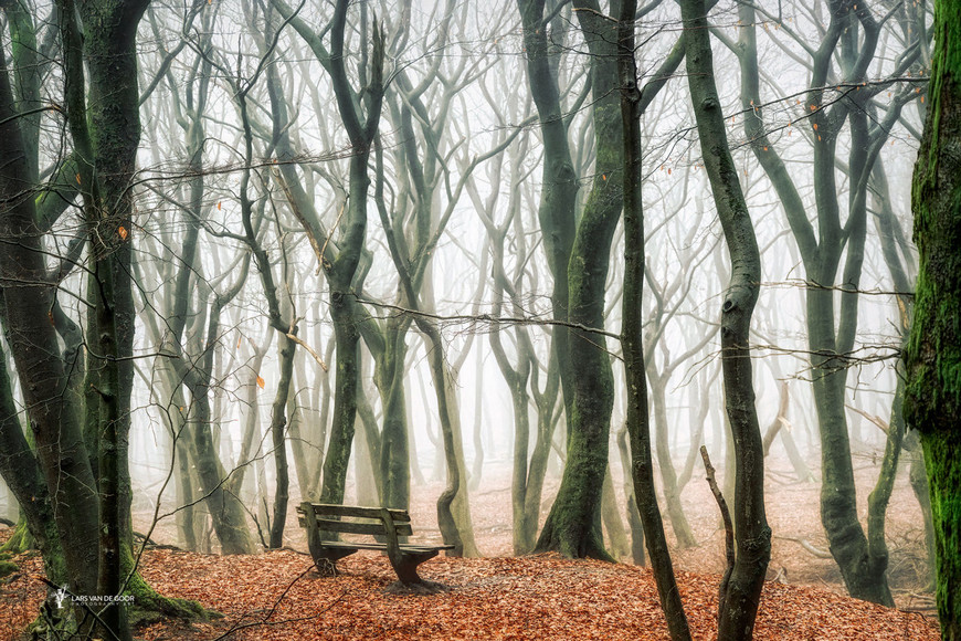 Fotograf Lars van de Gor 4