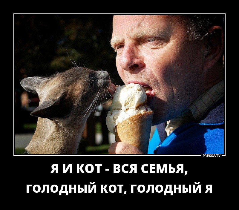 Самые оптимистичные осенние демотиваторы Самые оптимистичные осенние демотиваторы
