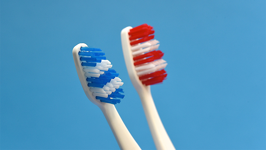 Стоматолог поделилась советами по выбору зубной щетки