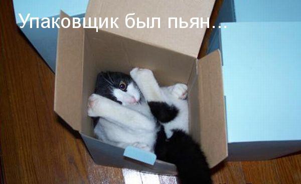 Мохнатые шутки Мохнатые шутки