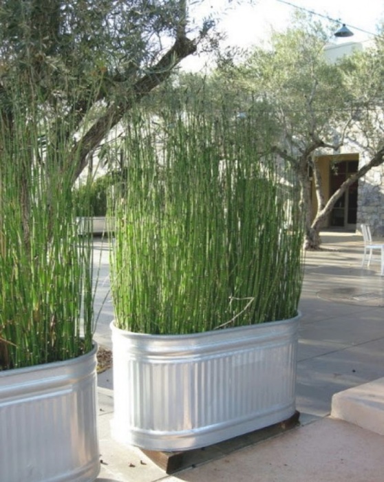 Большие кашпо с высокими растениями могут служить отличной перегородкой на дачном участке.