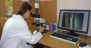 Россия выделяет гранты на НИОКР в области технического текстиля Россия выделяет гранты на НИОКР в области технического текстиля