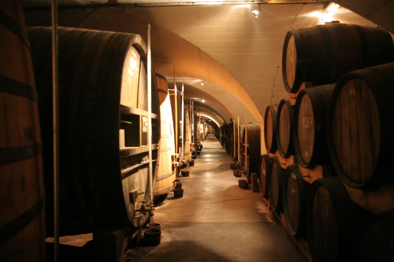 https://upload.wikimedia.org/wikipedia/commons/0/03/Chartreuse_caves_img_5733.jpg