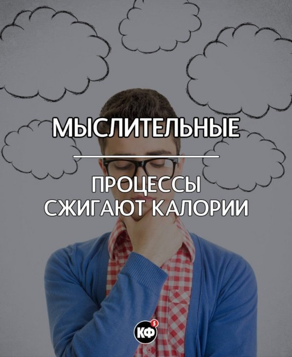 Краткие факты Краткие факты