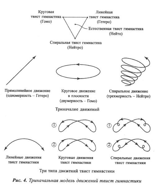 триначальная модель движений спиральной гимнастики