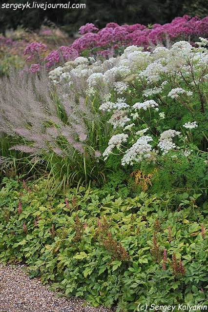 Trantham Gardens 082.JPG Trantham Gardens 082.JPG