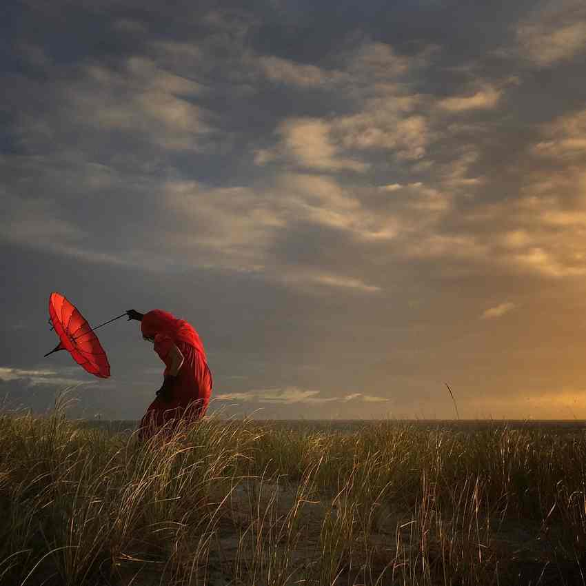 Лучшие фото с 2016 iPhone Photography Awards Лучшие фото с 2016 iPhone Photography Awards