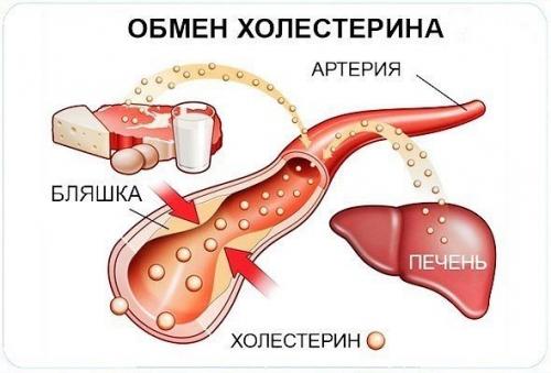 Так уровень холестерина можно снизить без проблем!