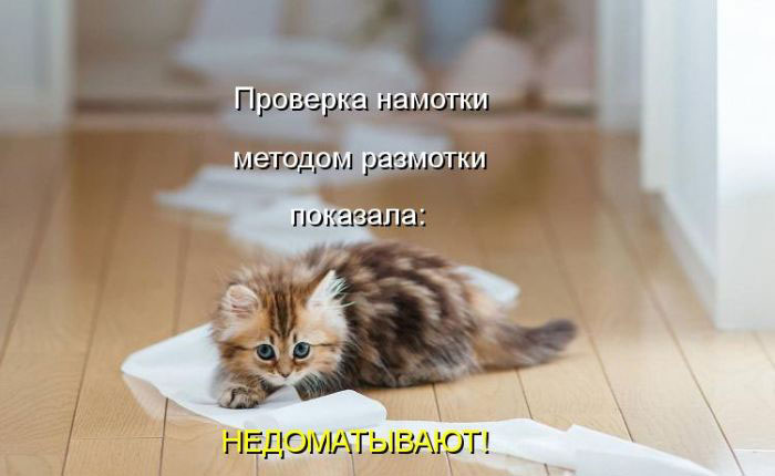 Позитив дня: КОТОПЯТНИЦА Позитив дня: КОТОПЯТНИЦА