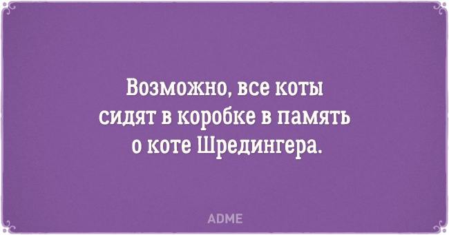 20 открыток о нелегкой жизни котов и их владельцев