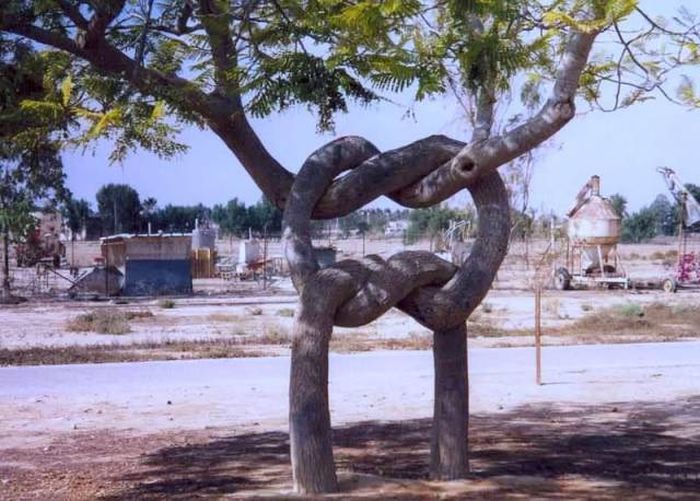 Позитивные картинки и фото приколы из жизни (11 фото) Позитивные картинки и фото приколы из жизни (11 фото)