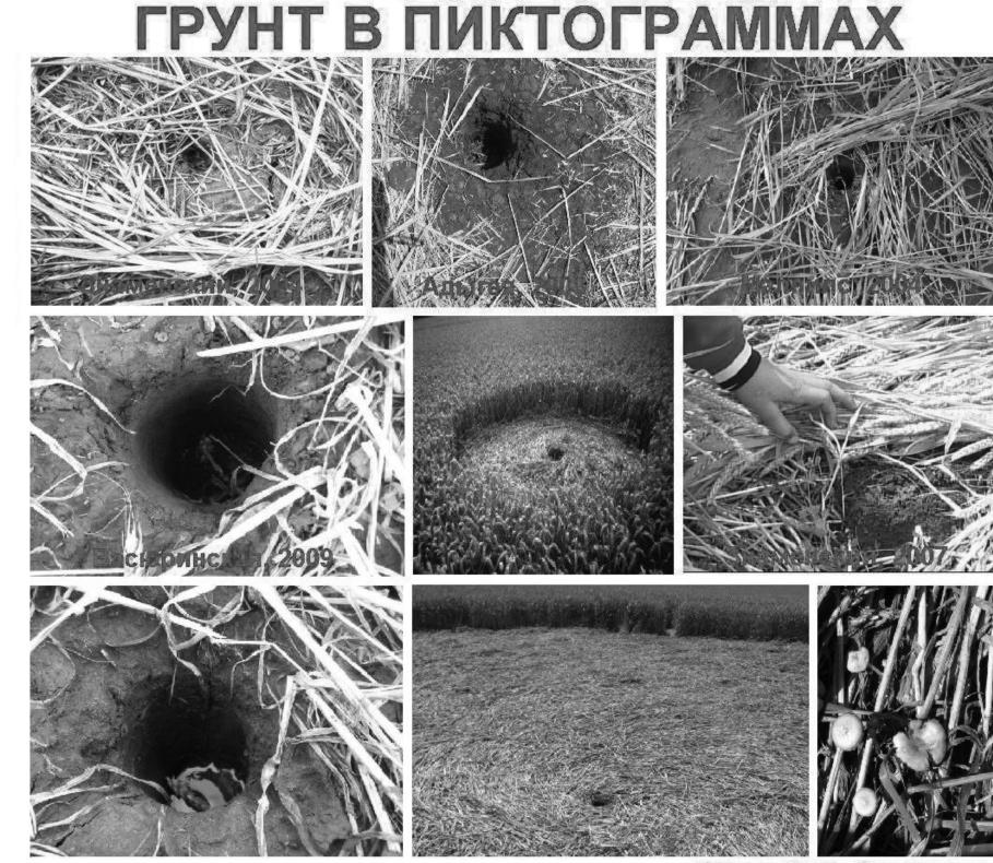 Круги на полях в России и СССР. Часть 2 Круги на полях в России и СССР. Часть 2