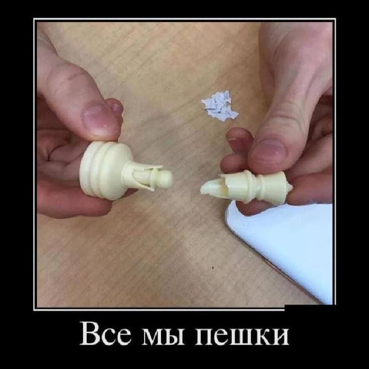 Новая порция сочнейших демотиваторов для отличного настроения