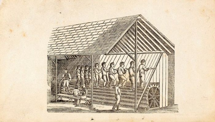 Занятные факты из разных областей - Фото