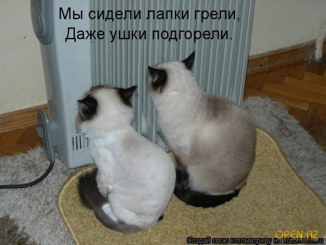 Котоматрицы великолепные, каждая с кусочком тепла, позитива и улыбкой! Котоматрицы великолепные, каждая с кусочком тепла, позитива и улыбкой!
