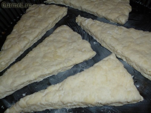 P1100257-500x375 (500x375, 43Kb)