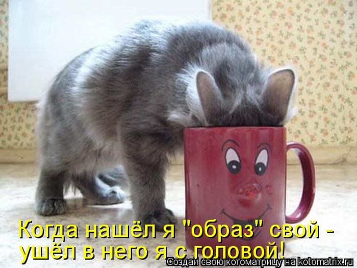 Лучшие котоматрицы за неделю