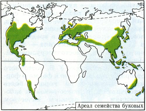 О братьях, братушках и небратьях. О братьях, братушках и небратьях.
