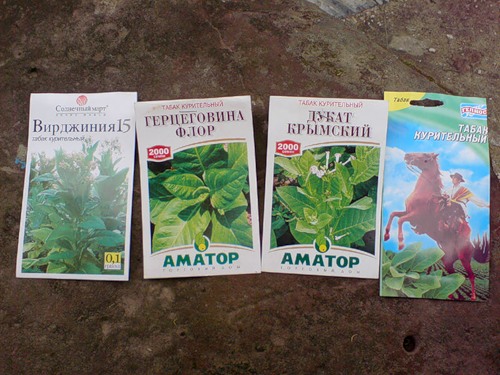 С тихи к подаркам С тихи к подаркам