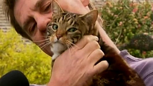 Десять историй о котах-героях Десять историй о котах-героях