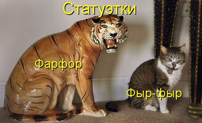 Позитив дня: КОТОПЯТНИЦА Позитив дня: КОТОПЯТНИЦА
