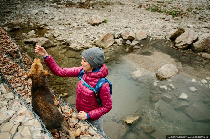 В Сочи на недельку путешествия, факты, фото