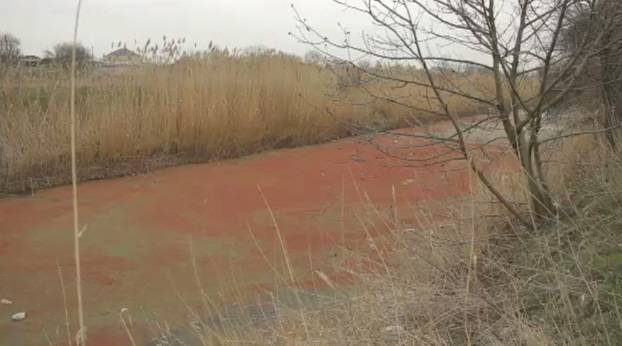 В Краснодарском крае необычный цвет каналу придали красные водоросли