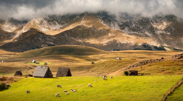 Красивая и такая разнообразная Черногория (17 фото)