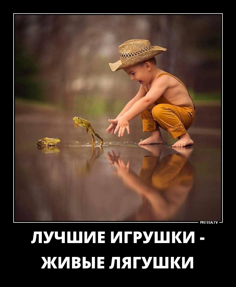 Самые оптимистичные осенние демотиваторы Самые оптимистичные осенние демотиваторы
