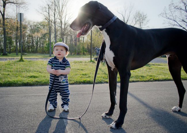 children-with-pets-5