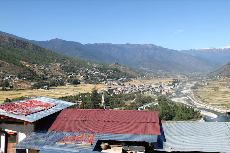 Chillies on rooftops in Bhutan.