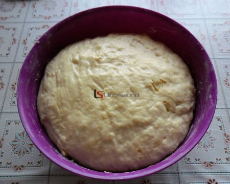 Пирожки печёные с творогом Пирожки печёные с творогом