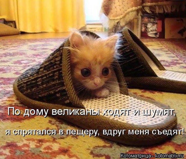 Смешные котоматрицы)) Смешные котоматрицы))