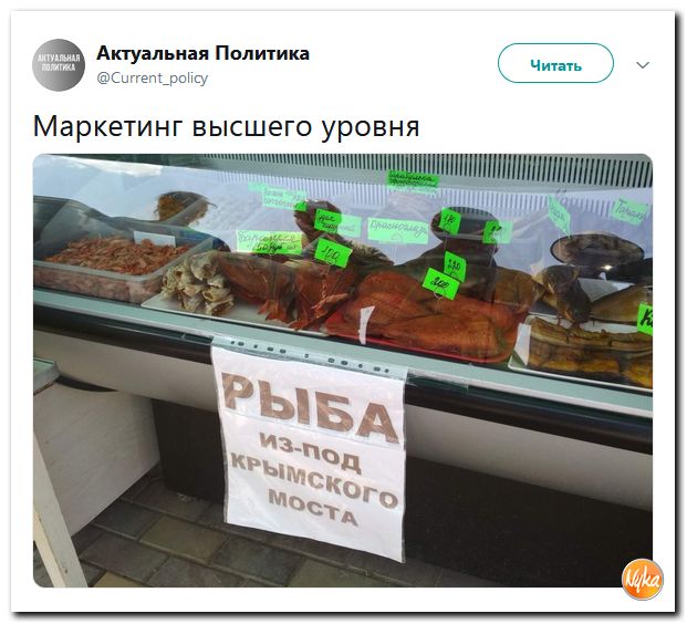 Соцсети жгут! С юмором о злободневном в ехидных скриншотах (политсатира) Соцсети жгут! С юмором о злободневном в ехидных скриншотах (политсатира)