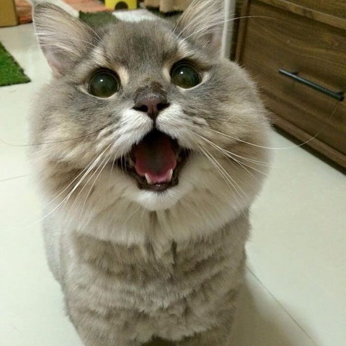 Суперзвезда из Таиланда