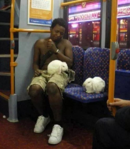 Странные пассажиры в общественном транспорте (17 фото) Странные пассажиры в общественном транспорте (17 фото)