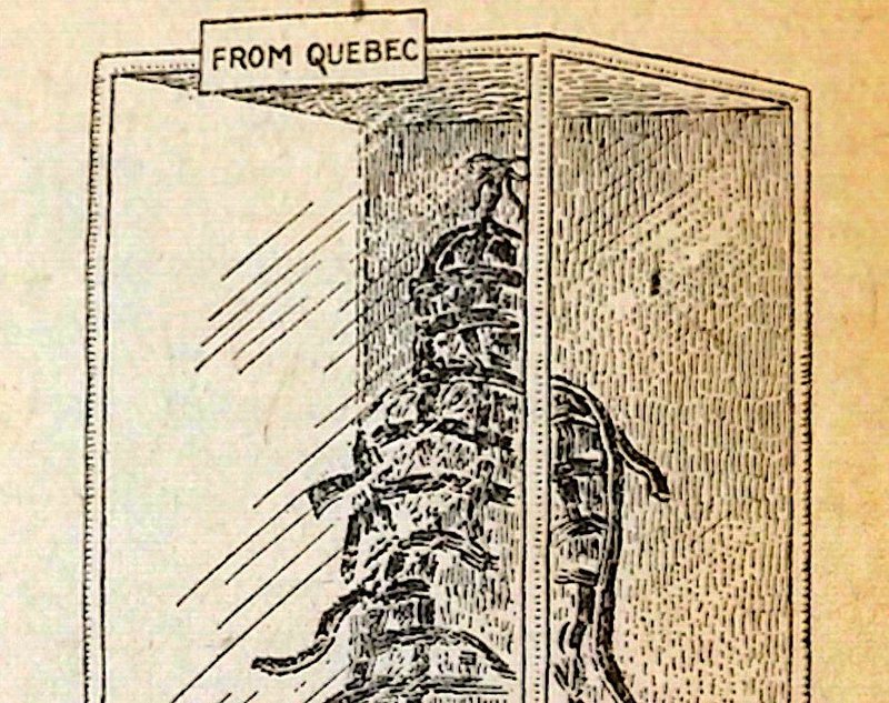 An illustration of La Corriveau's Cage as it appeared in the Boston Museum.